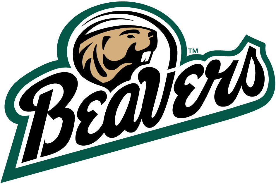 Bemidji State Beavers 2004-Pres Alternate Logo v2 diy iron on heat transfer